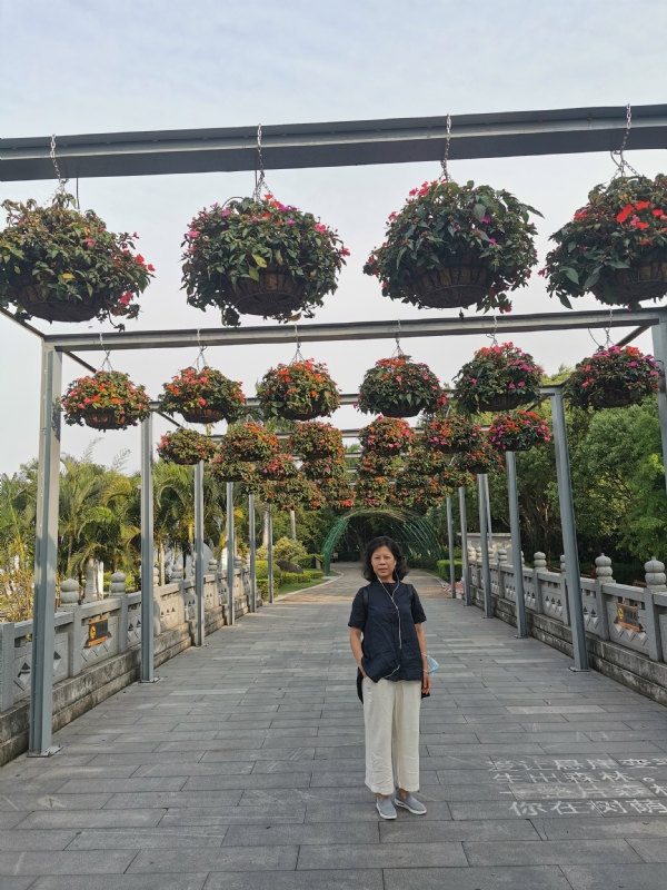 一叶知秋的第二张照片--沙县征婚网